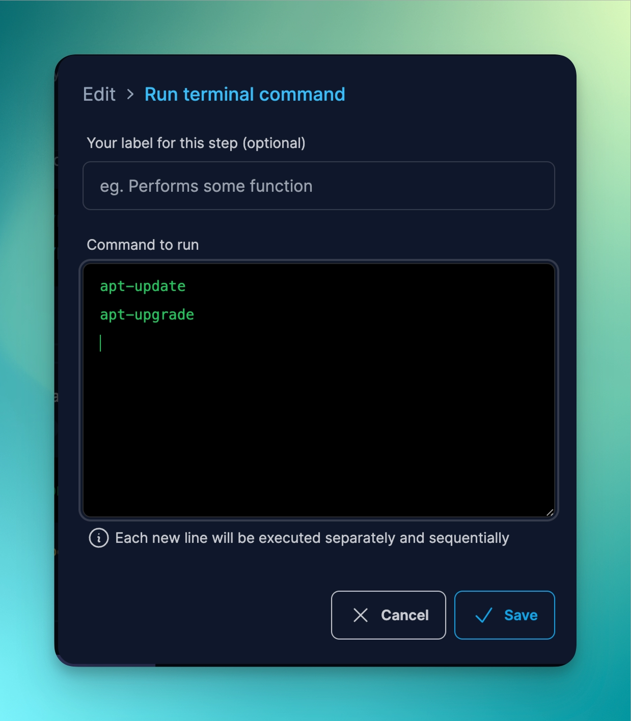 Settings for the Run Terminal Command directive